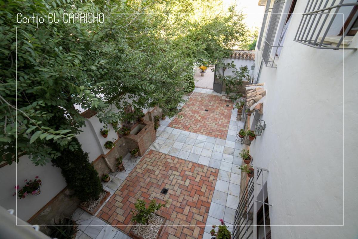 Almedinilla Cortijo El Segador Y El Caprichoヴィラ エクステリア 写真