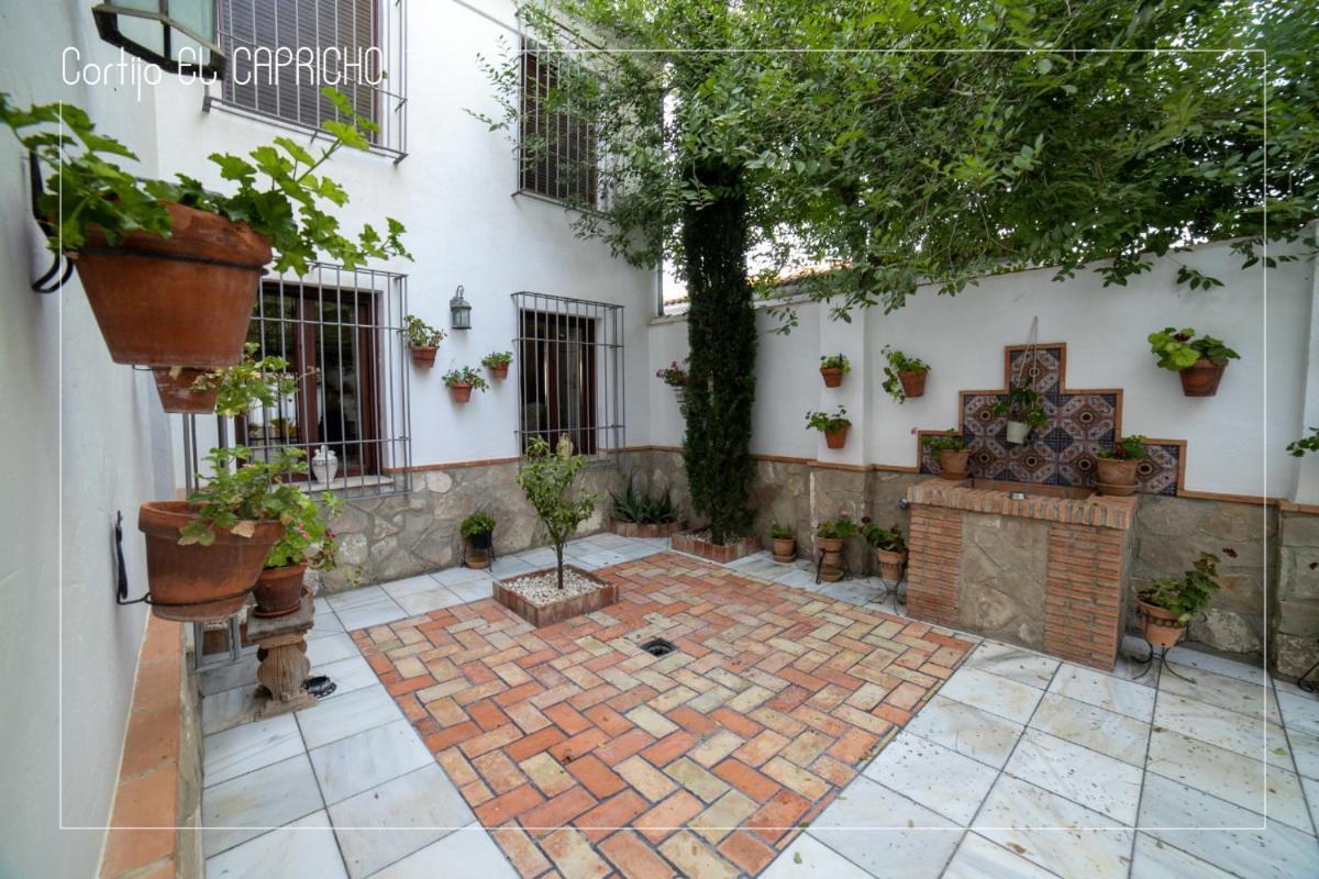Almedinilla Cortijo El Segador Y El Caprichoヴィラ エクステリア 写真