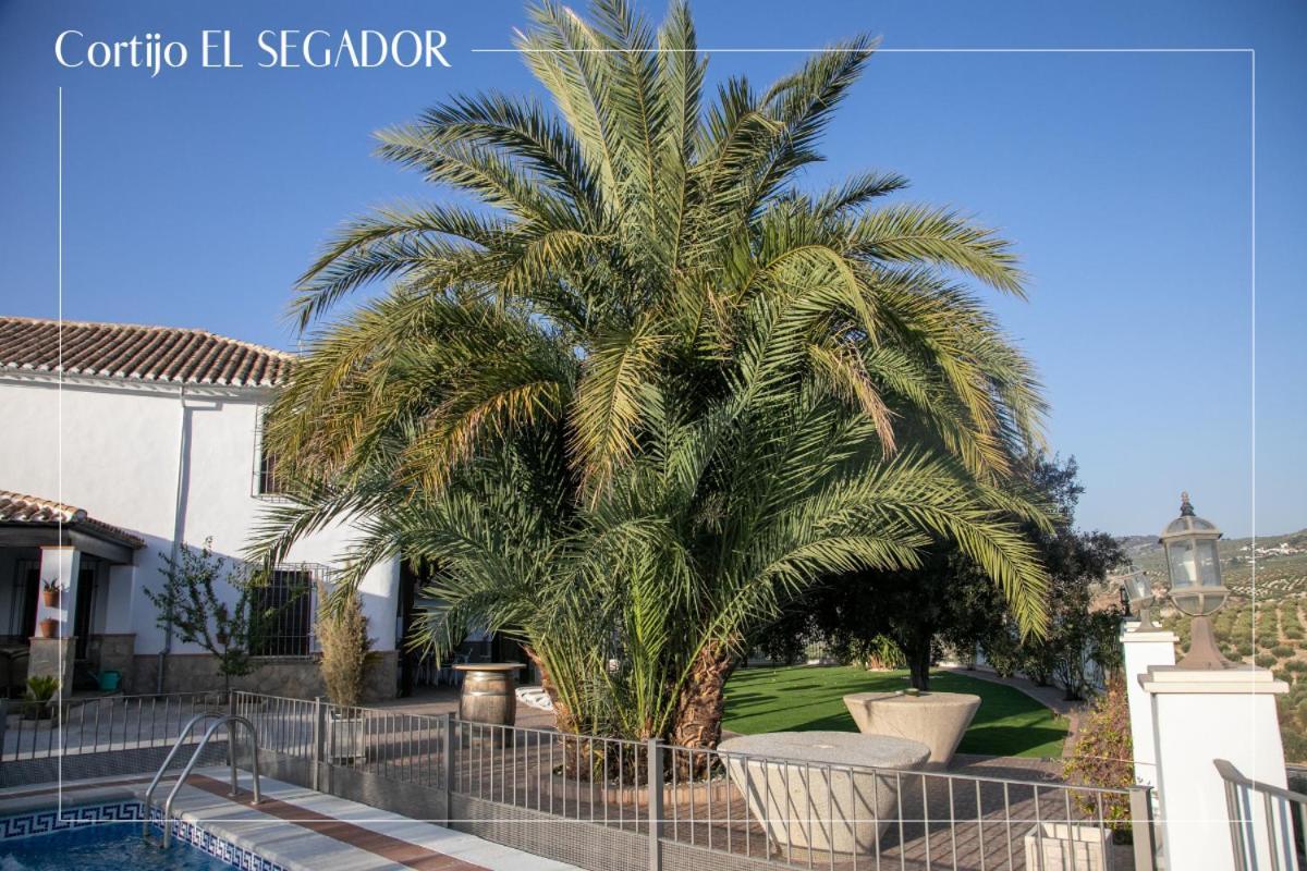 Almedinilla Cortijo El Segador Y El Caprichoヴィラ エクステリア 写真